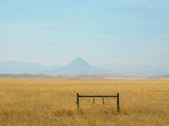 99A70433599F9D64092E3F