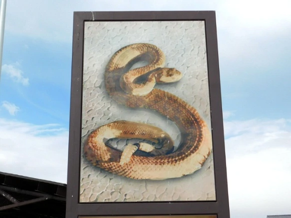 271C454757782A6B3E9F34