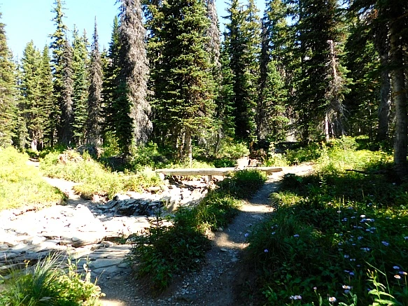 9937CD455B95AA710ECCA5