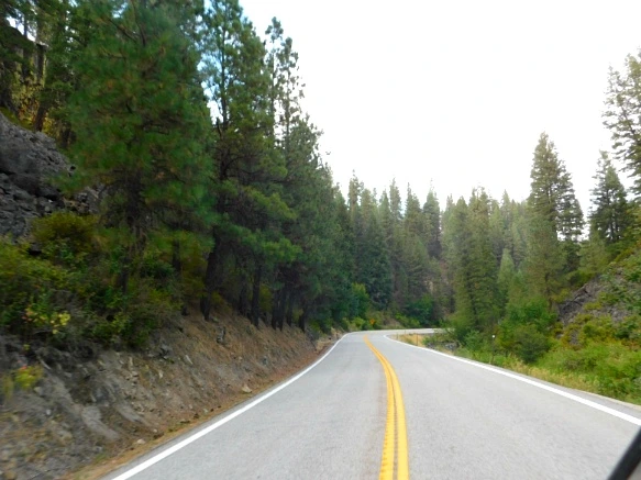 9968143359A8A054084D1C