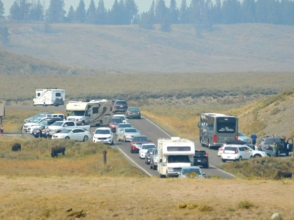 993FF43359AF0FE1281E05