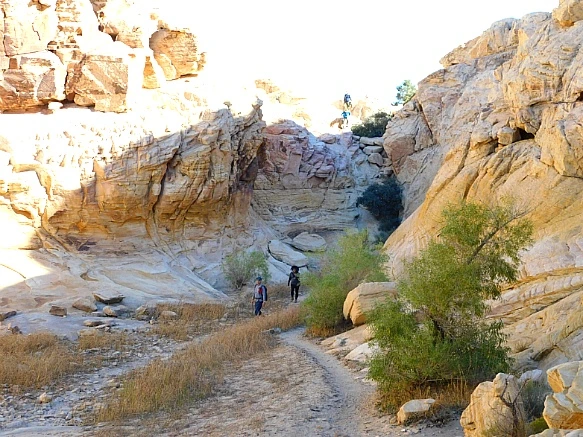 996C57395BCD1F320AE4D4