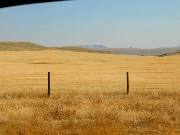 99EE8233599F9D5A0F7DE6