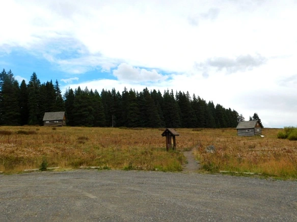 9991733359BF4A8F1BAAC5