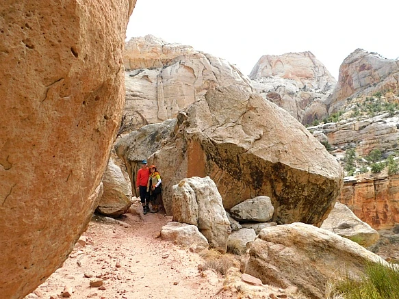 993DF6455BC2B45405B9F5