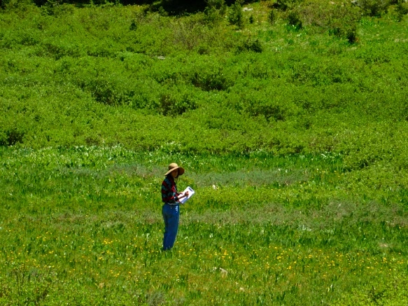 2727B244595C31C01EBD50