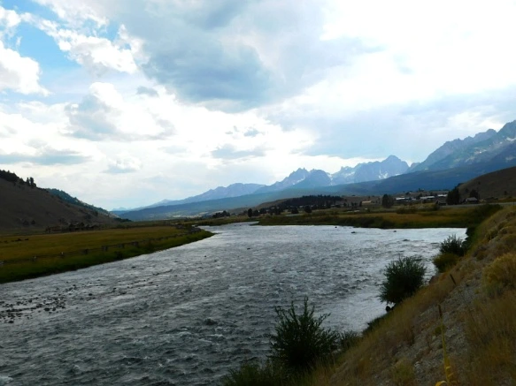 993A043359A9ECE8254E0B