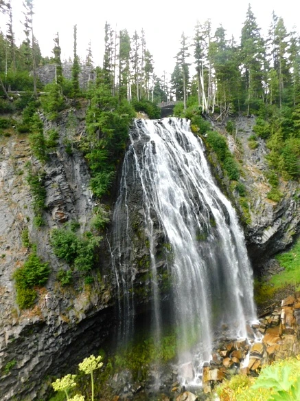 999CD73359A4ADFE07DC1D