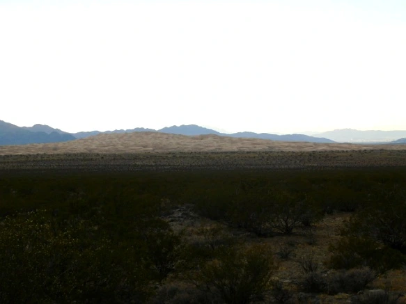 234BA34A57782A9435D6EA