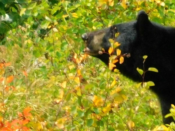 9920644C5B949F6F226A69