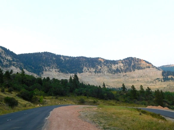 994D923359B1EDD8332B84