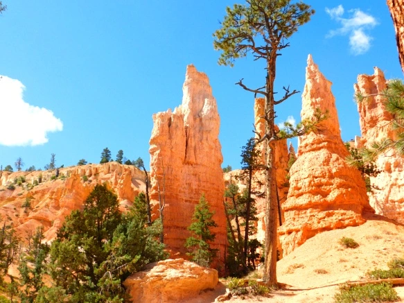 99A7063359B878F50F4987