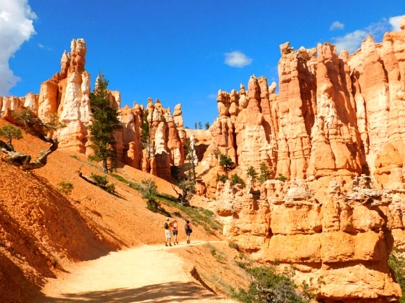 99469B3359B9B8D50E9913