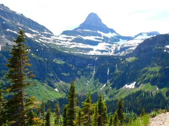 991C794E5B3574050D87D0