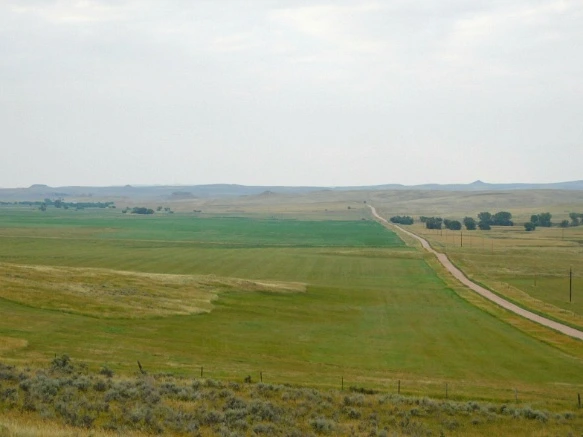 99402C3C5B77A3EA1BF985