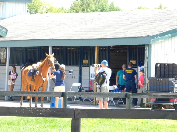 23501433597D170B233274