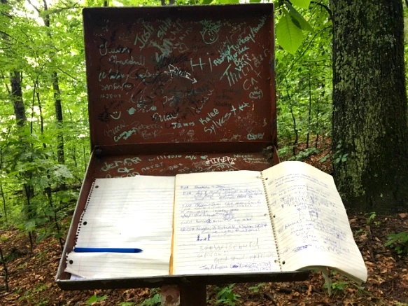 215AF537595087F02B1ACF