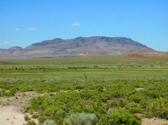 256D3E3D576F44D6243FBA