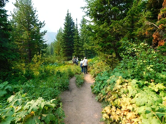 9904044D5B875173084530