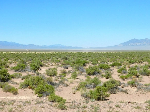 255BB745576CC6B3248B5A