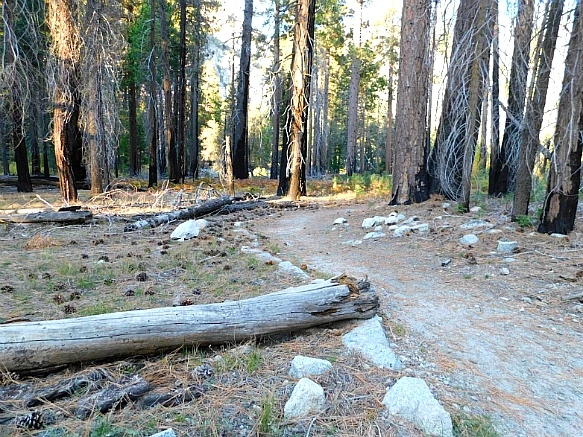 99702A4A5BDBD9A423D37E