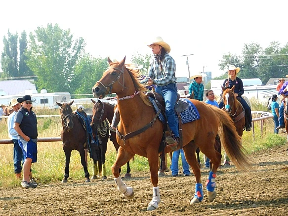 99B9B7405B7A34502DCA4B