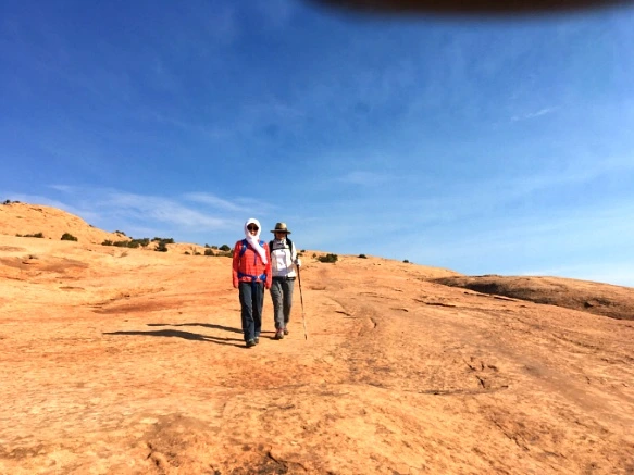 99E6FF335A111532115DE9