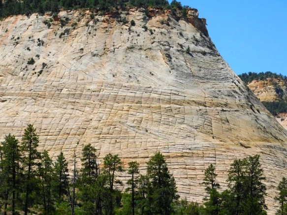 2363D448576A1316047D02