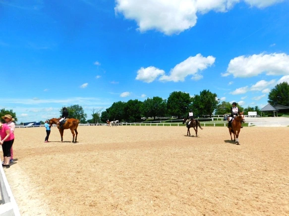 21B22633597D17242961BB