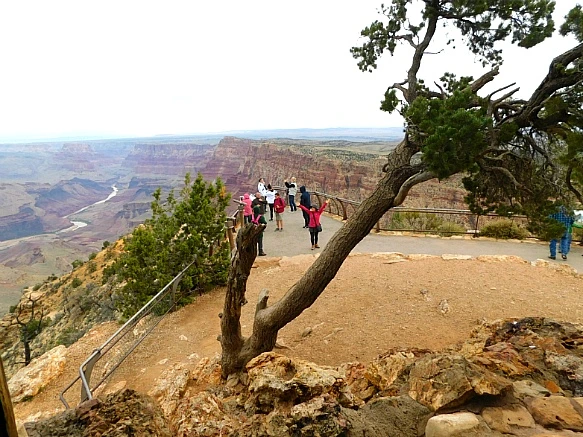 99B3DA375BC9502621D215