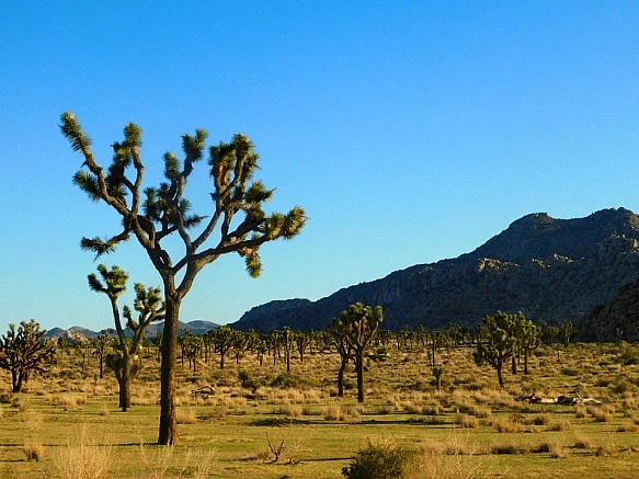 9970E2455BE11AF5079555