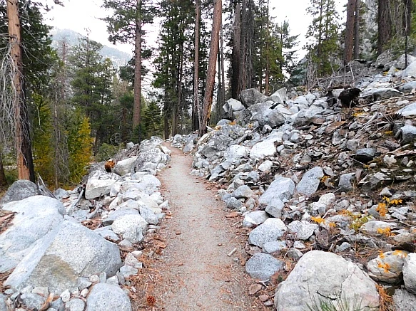 99023E4D5BDBDB27211658