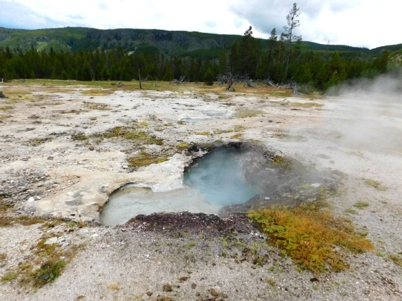 99E0C74E5B39A5B8044EA4