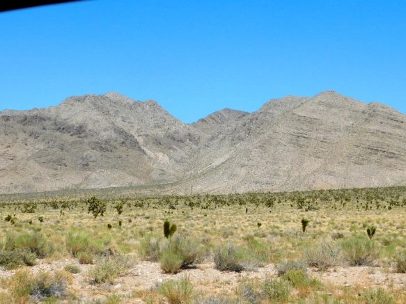 24279D42576CC67434FADD