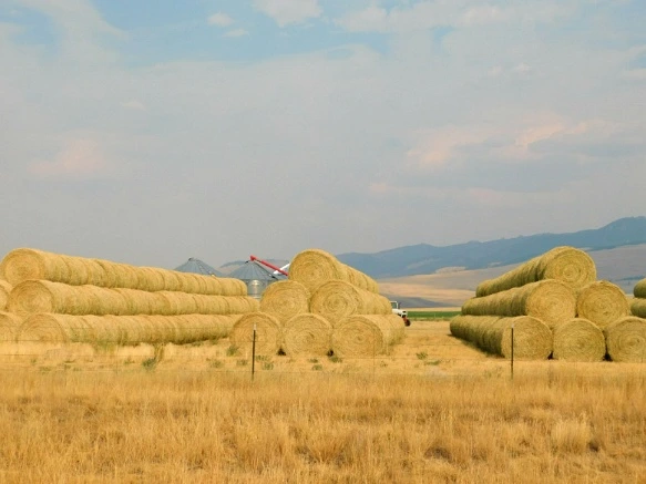 99B3B133599E4F6A123228