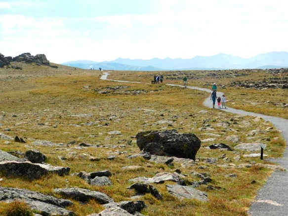 997AA8495B6E6C2623A590