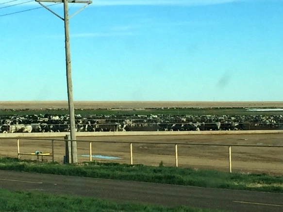 212AC450571C41E0360576