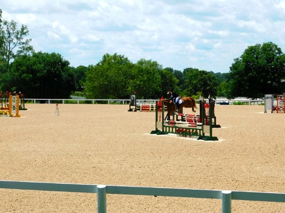 21C75833597D173F27F3A4