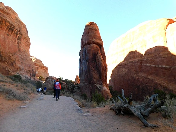 999519375BB6DC3831C7FE