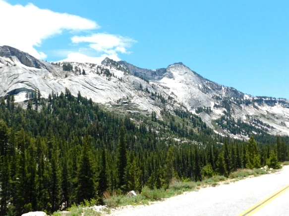 24515F4157721900067332