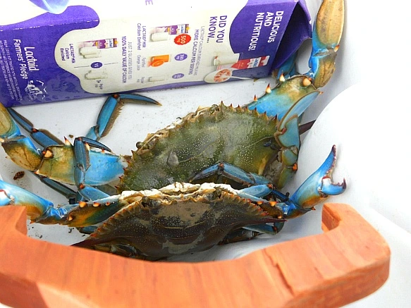 99921E365BF9F8C8064D59