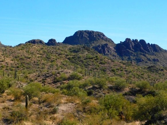 99FB0F335A25F3180211BD