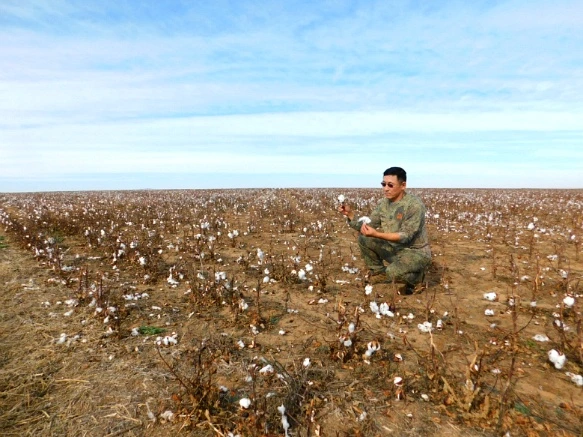 998DA2335A07C8562356AC