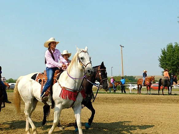 99CF6B3F5B7A371E219538