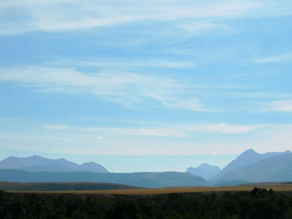 99D56833599F9D8A18F209