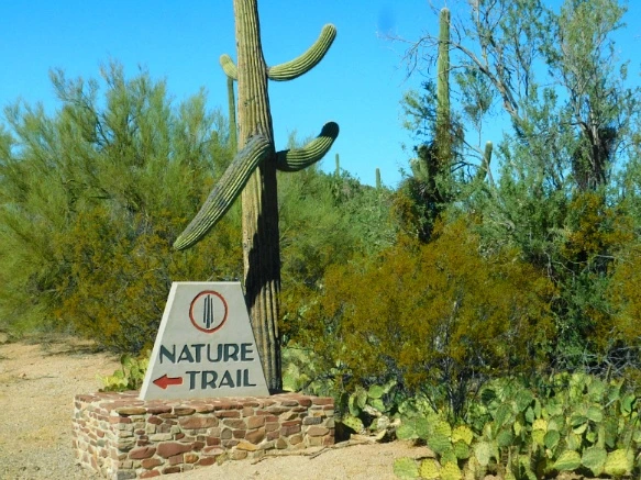 9957C6335A2A1388303BEC