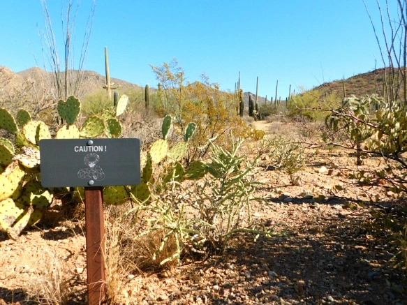 998C8E335A2A10C60369B1