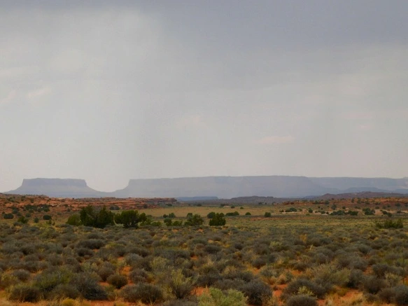 99F7183359B482C40ECD32