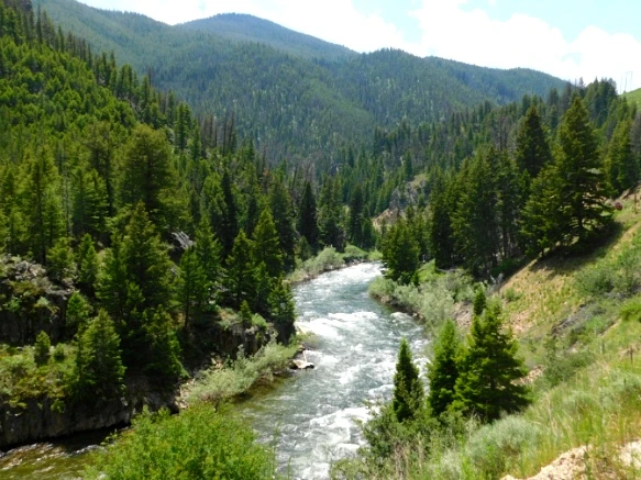 9947E0365B2F292027C47D