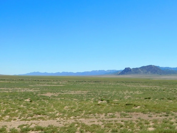 25631C3D576F44DA2E03AA